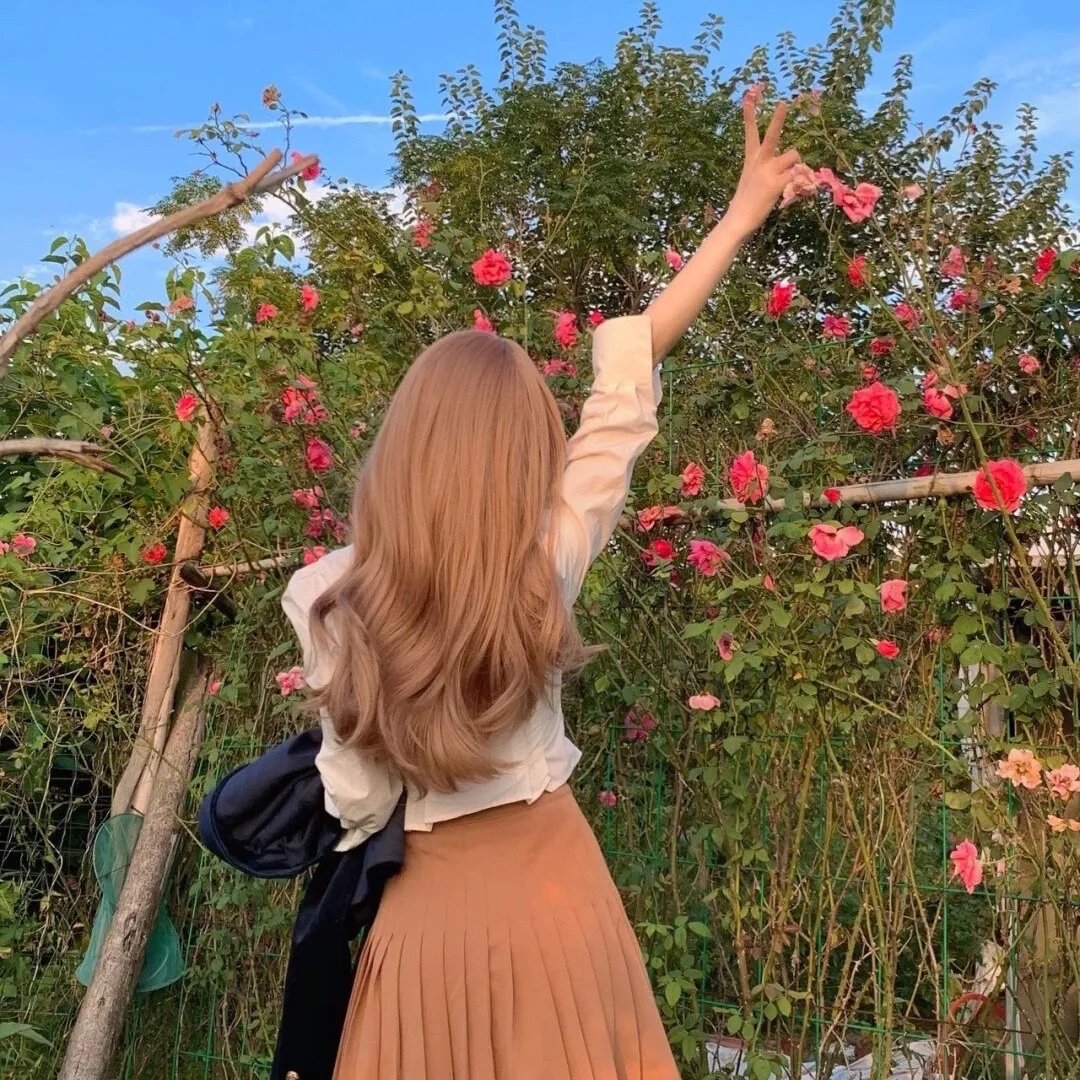 神秘女王蜂